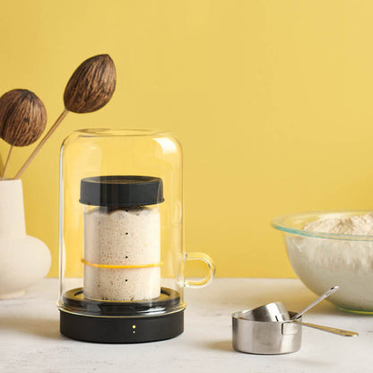 Goldie starter jar warmer hero lifestyle shot on kitchen counter