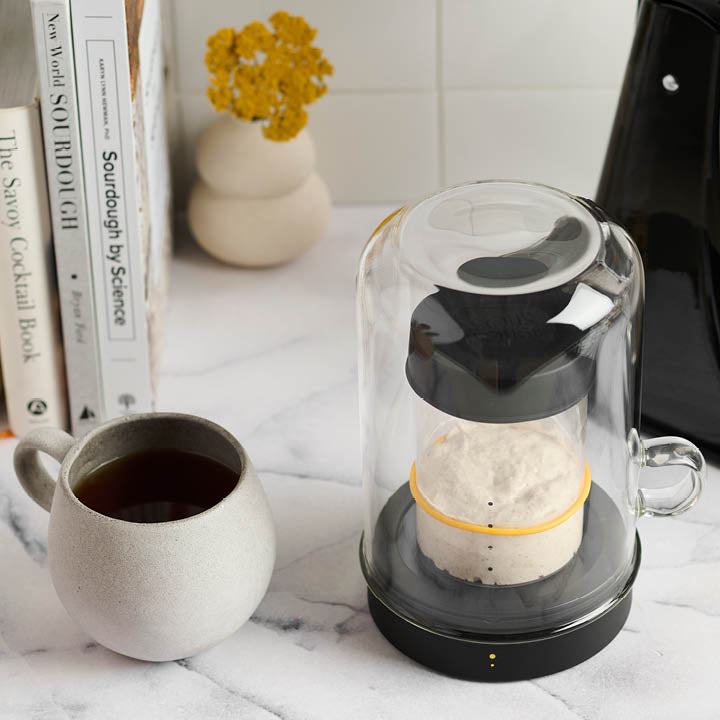 Marble counter with Goldie by Sourhouse warming a jar of sourdough starter next to a cup of coffee.