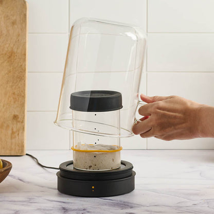 Hand opening glass cloche on Goldie starter jar warmer