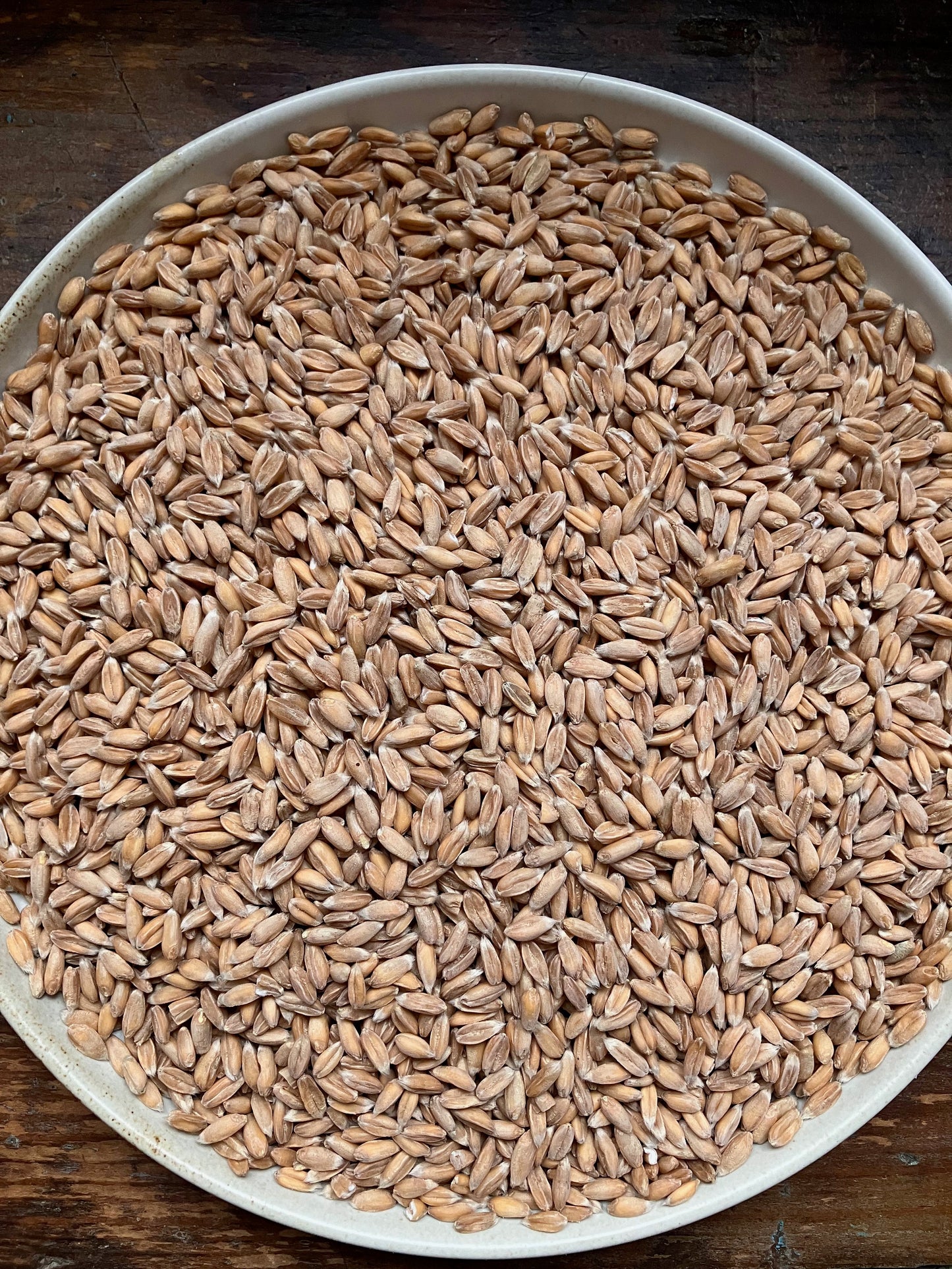 Spelt - Brooklyn Granary & Mill