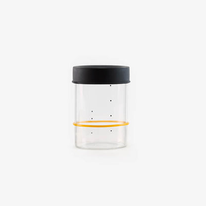 Sourhouse glass sourdough starter jar with silicone lid, pint size, on white background