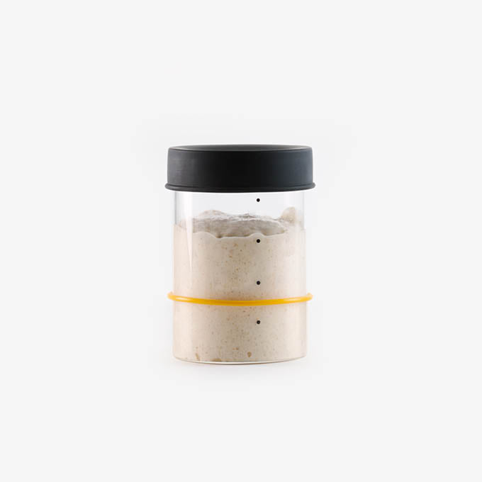 Sourhouse pint glass sourdough starter jar with silicone lid filled with active sourdough starter
