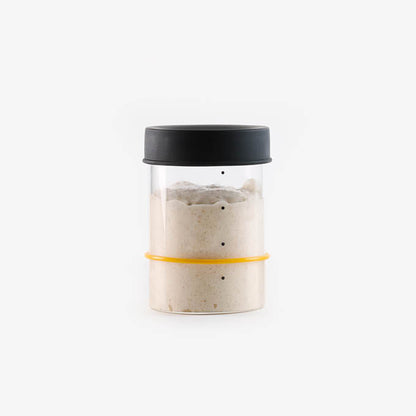 Sourhouse pint glass sourdough starter jar with silicone lid filled with active sourdough starter