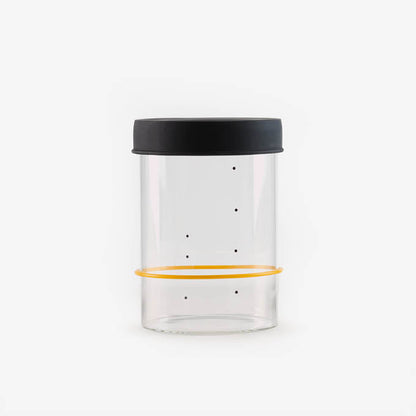 Sourhouse glass sourdough starter jar with silicone lid, quart size, on white background