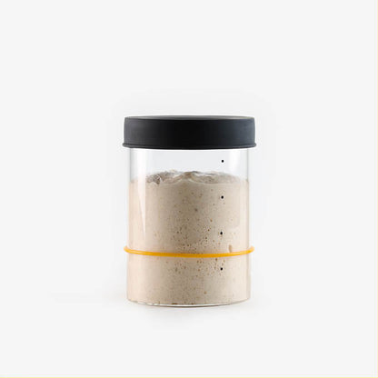 Sourhouse quart glass sourdough starter jar with silicone lid filled with active sourdough starter