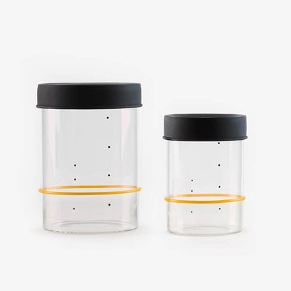 Sourhouse pint and quart glass sourdough starter jars with silicone lids side by side on white background